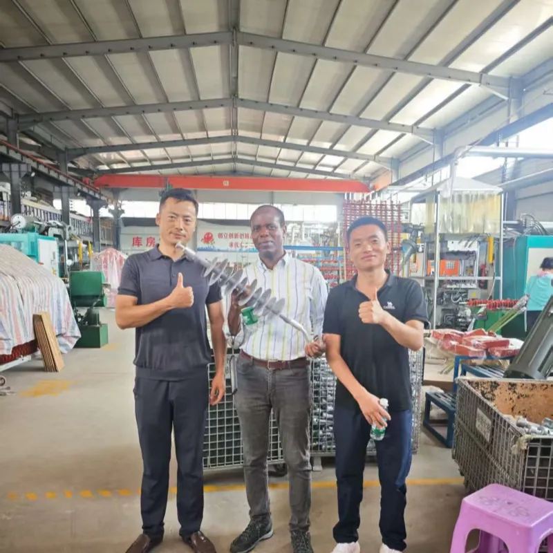 <strong>Zambian Power Delegation Selects Chinese Manufacturer for 30</strong>