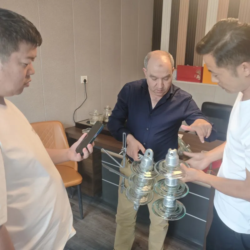 <strong>Documentary — In 2025, a client from Algeria in Africa visit</strong>